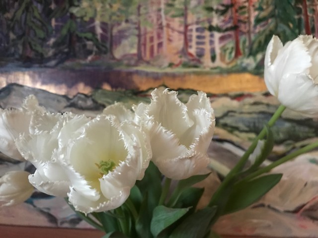 nana's tulips